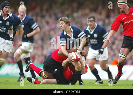 Der schottische Chris Cusiter (Mitte) wird vom walisischen Colin Charvis während des RBS 6 Nations-Spiels im Millennium Stadium, Cardiff, am Samstag, den 14. Februar 2004, angegangen. Stockfoto