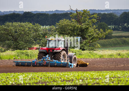 Ackerbau im Frühjahr; Bodenvorbereitung für Salatpflanzen mit Massey Ferguson Traktor zur Herstellung von Feldern, in Holmswood, Lancashire, Großbritannien Stockfoto