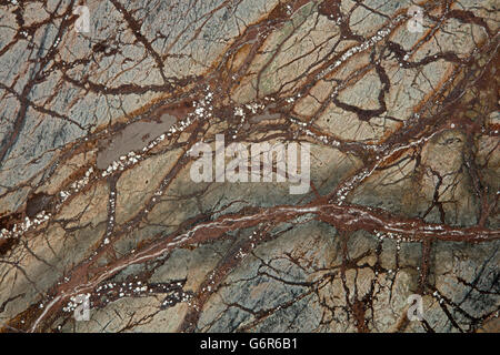 Serpentinit, "Rainforest Brown" Platte, metamorphen Felsen, bestehend aus einem oder mehreren serpentine Gruppe Mineralien, Brasilien Stockfoto