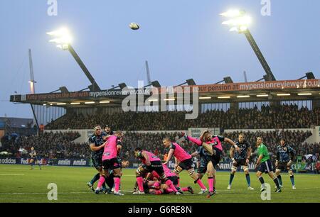 Rugby Union - Heineken Cup - Pool 2 - Cardiff Blues / Exeter Chiefs - Cardiff Arms Park. Cardiff Blues Lloyd Williams räumt seine Linien während des Heineken Cup, Pool Two-Spiels im Cardiff Arms Park, Cardiff. Stockfoto