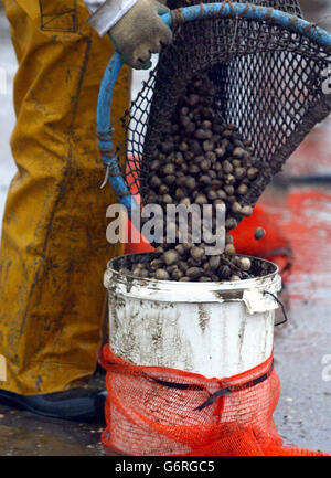 Seerettung Stockfoto