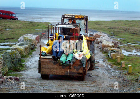 Cockle Picker, die zur Arbeit zurückkehrten, am Sand von Morecambe Bay, Lancashire, wo 19 chinesische Arbeiter ertrunken waren. Etwa 100 Pflücker, einige zu Fuß und andere auf Traktoren und Quad-Bikes, versammelten sich entlang der Küste von Bolton-le-Sands in der Nähe der HEST Bank, nachdem die Polizei von Lancashire das Gebiet nicht mehr zum Tatort erklärt hatte. Stockfoto