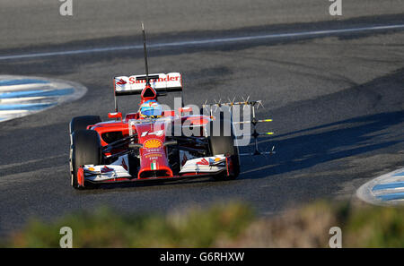 Ferrari Fernando Alonso, auf der Strecke, während der Formel-1-Prüfung 2014 auf dem Circuito de Jerez, Jerez, Spanien. Stockfoto