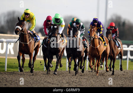 Pferderennen - Rennbahn Kempton Stockfoto