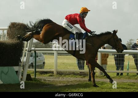 Jockey Stockfoto