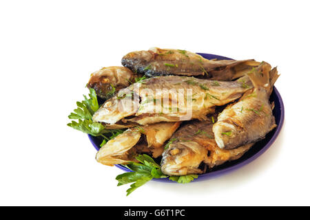 Auf der blauen Platte sind einige gebratenen Karpfen mit Petersilie, Dill, Schnittlauch. Stockfoto