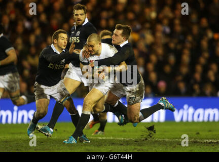 Englands Mike Brown und Schottlands Stuart Hogg und Greg Laidlaw (links) Stockfoto