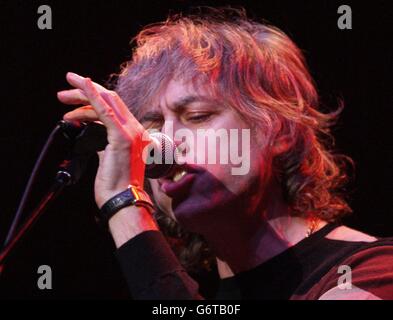 Bob Geldof spielt live im One Generation 4 ein weiteres Benefizkonzert zugunsten der Lord's Taverners, in der Royal Albert Hall im Zentrum von London. Stockfoto