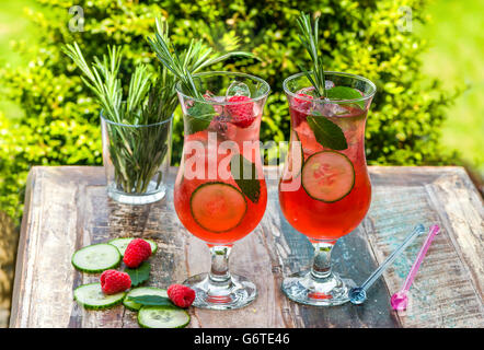 Pink Gin und Tonic cocktail mit Himbeeren, Gurke und Minze Stockfoto