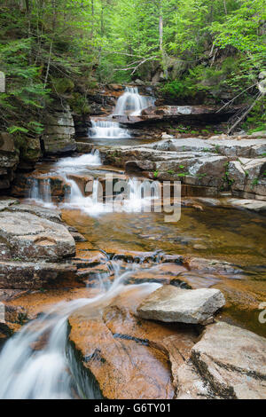Bemis Bach entlang Bemis Brook in Harts Lage, New Hampshire USA während der Frühlingsmonate fällt. Stockfoto