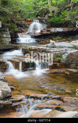 Bemis Bach entlang Bemis Brook in Harts Lage, New Hampshire USA während der Frühlingsmonate fällt. Stockfoto