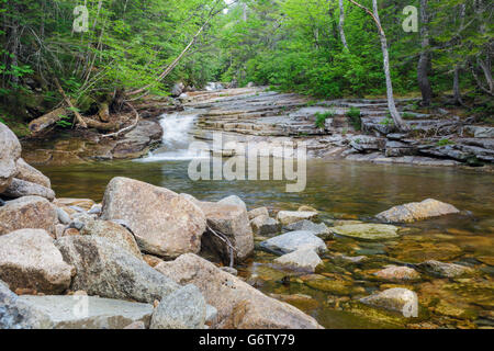 Fawn Pool in Harts Lage, New Hampshire USA während der Frühlingsmonate. Dieser Pool befindet sich Bemis Bach entlang. Stockfoto