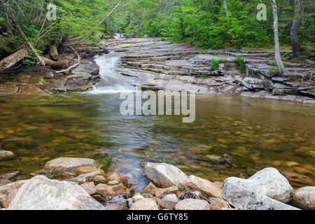 Fawn Pool in Harts Lage, New Hampshire USA während der Frühlingsmonate. Dieser Pool befindet sich Bemis Bach entlang. Stockfoto