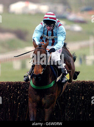 Jim Culloty auf Best Mate räumt am dritten und letzten Tag des Cheltenham Festival-Treffens den Schlusszaun mit ihrem dritten Sieg in Folge im Cheltenham Gold Cup Hindernislauf. Stockfoto