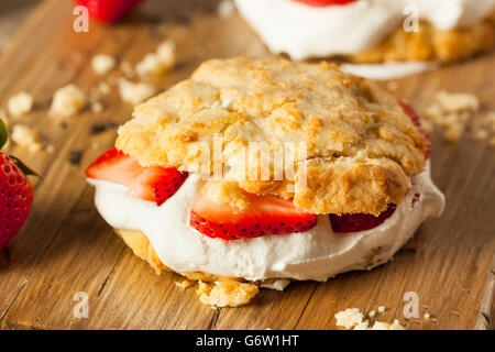 Hausgemachte Erdbeer mit gepeitschter Creme verzehrfertige Stockfoto