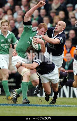 RUGBYU Irland 24RBS 6 Nationen Irland V Schottland Stockfoto