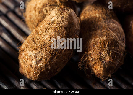 Rohe Bio braune Eddoes bereit zum Kochen Stockfoto