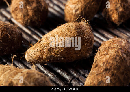 Rohe Bio braune Eddoes bereit zum Kochen Stockfoto