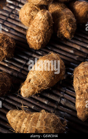 Rohe Bio braune Eddoes bereit zum Kochen Stockfoto