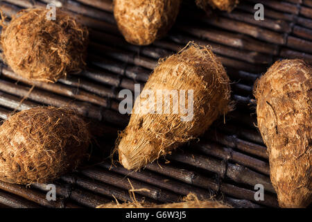 Rohe Bio braune Eddoes bereit zum Kochen Stockfoto