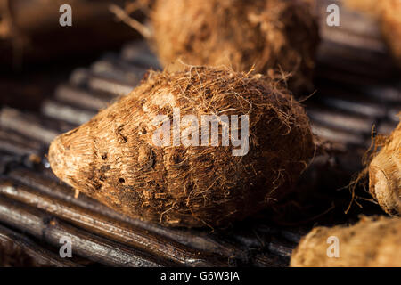 Rohe Bio braune Eddoes bereit zum Kochen Stockfoto