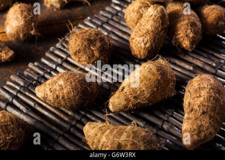 Rohe Bio braune Eddoes bereit zum Kochen Stockfoto