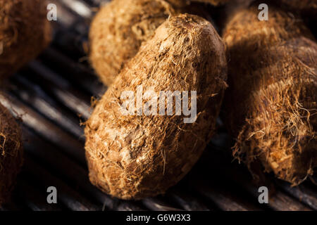 Rohe Bio braune Eddoes bereit zum Kochen Stockfoto