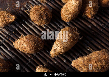 Rohe Bio braune Eddoes bereit zum Kochen Stockfoto