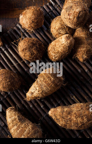 Rohe Bio braune Eddoes bereit zum Kochen Stockfoto