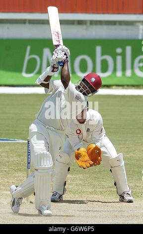 Brian Lara läuft Rekord Stockfoto