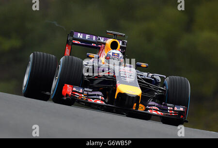 Formel 1 - 2014 Tests - Tag 4 - Circuito de Jerez. Red Bull Racing Fahrer Daniel Ricciardo, während der Formel 1-Prüfung 2014 auf dem Circuito de Jerez, Jerez, Spanien. Stockfoto