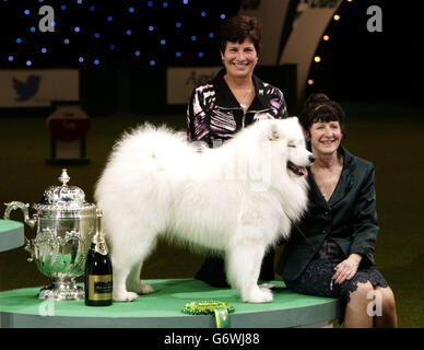 Crufts 2014 Stockfoto