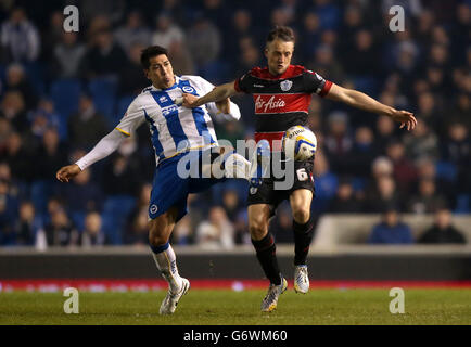 Brighton und Hove Albions Leonardo Ulloa, (links) kämpft um den Ballbesitz mit Clint Hill der Queens Park Rangers, (rechts) Stockfoto