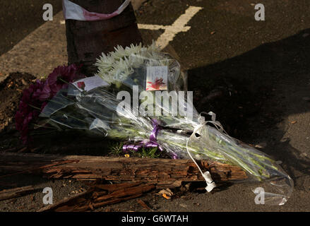 Leytonstone-Doppelmord. Blumen, die am Ort einer doppelten Morduntersuchung in Leytonstone im Osten Londons gelegt wurden. Stockfoto