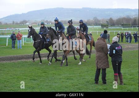 Horse Racing Champion - 2014 Cheltenham Festival - Tag - Cheltenham Racecourse Stockfoto