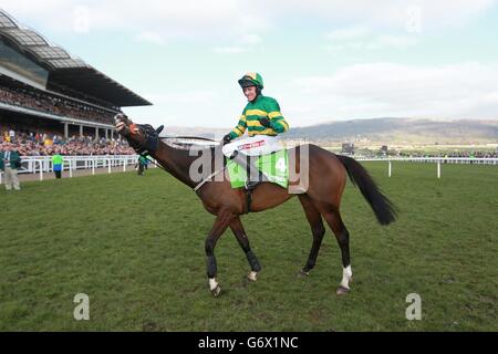 Horse Racing Champion - 2014 Cheltenham Festival - Tag - Cheltenham Racecourse Stockfoto