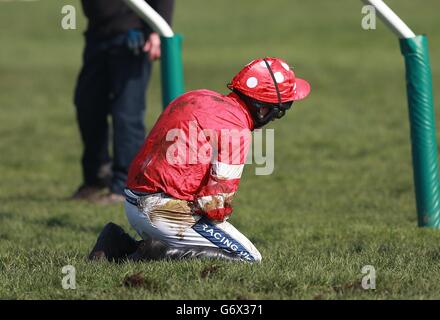 Horse Racing - 2014 Cheltenham Festival - Cheltenham Gold Cup Tag - Cheltenham Racecourse Stockfoto