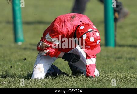 Horse Racing - 2014 Cheltenham Festival - Cheltenham Gold Cup Tag - Cheltenham Racecourse Stockfoto