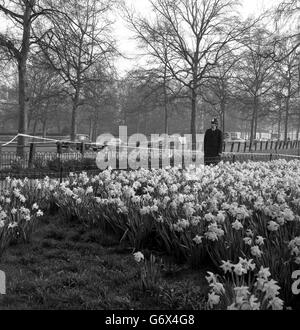 Ein Polizist im Dienst in einem abgeklebten Abschnitt des St James's Park - Pall Mall im Hintergrund - in der Nähe der Schießerei von gestern Abend. Ian Ball, 26, wird beschuldigt, in der Pall Mall versucht zu haben, den Leibwächter von Prinzessin Anne, Inspektor James Beaton, zu ermorden. Stockfoto