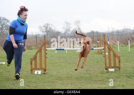 Jenna Allinson aus East Yorkshire, mit ihrem Hund Malaika, eine ungarische Wirehaired Vizsla, die den Spitznamen Ginge trägt, trainiert am Freitagmorgen in einer Agility-Klasse für den berühmten Hundewettbewerb Crufts in Birmingham. Stockfoto