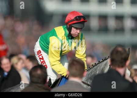 Pferderennen - 2014 Cheltenham Festival - Ladies Day - Cheltenham Rennbahn. Der von Andrew Lynch gerittene Zerschlagung macht sich auf den Weg zum Start des Coral Cup am Ladies Day, während des Cheltenham Festivals. Stockfoto