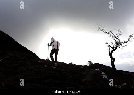 St. Patricks Day 2014 Stockfoto