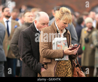 Pferderennen - 2014 Cheltenham Festival - St. Patrick's Day - Cheltenham Rennbahn. Racegoers beobachten die Action während des St. Patrick's Day am Cheltenham Festival. Stockfoto