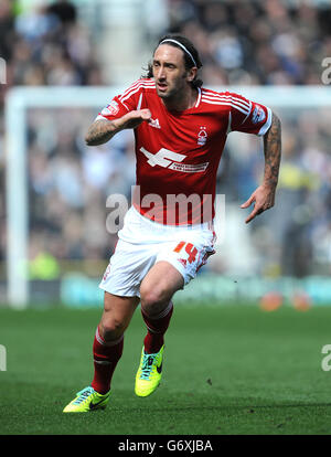 Jonathan Greening von Nottingham Forest während des Sky Bet Championship-Spiels im iPro Stadium, Derby. DRÜCKEN Sie VERBANDSFOTO. Bilddatum: Samstag, 22. März 2014. Siehe PA Geschichte FUSSBALL Birmingham. Bildnachweis sollte lauten: Nigel French/PA Wire. Stockfoto