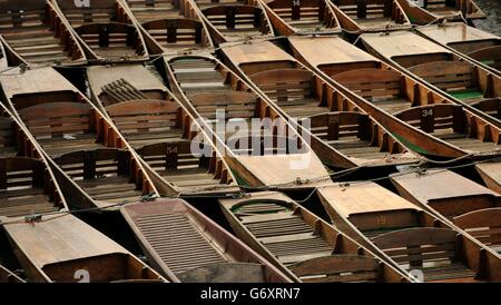 Punt liegen auf dem Cherwell in Oxford und warten auf Kunden. Stockfoto