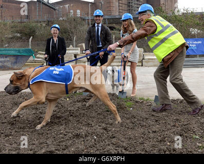 Paul O'Grady (rechts) mit Freddie, einem vier Jahre alten englischen Mastiff, als (links -rechts) Dame Jacqueline Wilson, David Gandy und Amanda Holden während des Baustarts der Neuentwicklung auf die Bauarbeiten für neue Zwingern im Battersea Dogs and Cats Home, London, blicken. Stockfoto