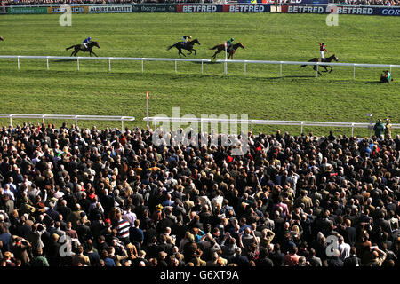 Horse Racing - 2014 Cheltenham Festival - Cheltenham Gold Cup Tag - Cheltenham Racecourse Stockfoto