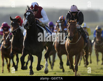 Pferderennen Sie - irische Lincolnshire/Lodge Park Stud Park Express Stakes Day - Curragh Rennbahn Stockfoto