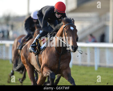 Pferderennen Sie - irische Lincolnshire/Lodge Park Stud Park Express Stakes Day - Curragh Rennbahn Stockfoto