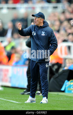 Fußball - Barclays Premier League - Newcastle United gegen Crystal Palace - St. James' Park. Tony Pulis, Manager des Crystal Palace Stockfoto